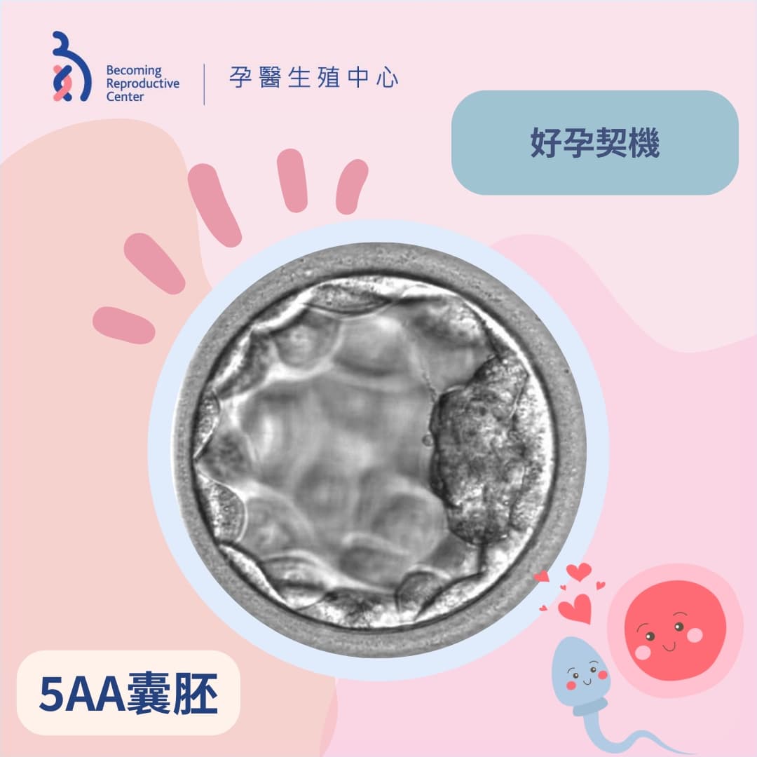 好孕契機.jpg